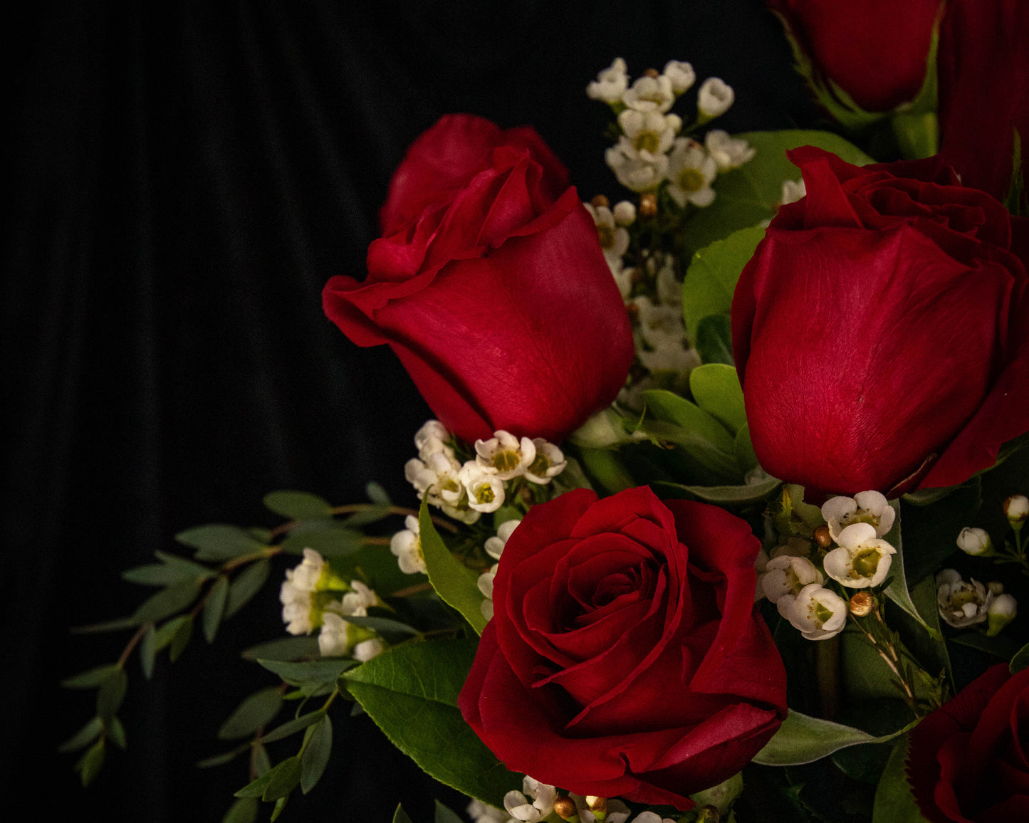 Bouquet of red roses with small white flowers on a dark background